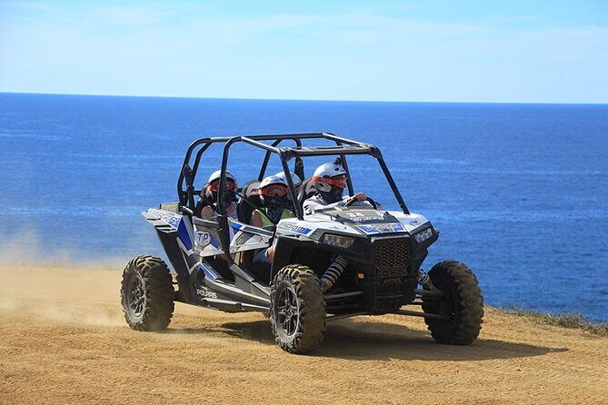 Cactus Combo Combine two of your favorite desert tours - The Best Parts: What You’ll Likely Enjoy Most