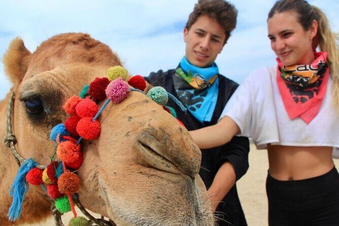 Camel Encounter and Safari Ride with Lunch and Alcohol Tasting - Cabo’s camel ride is really a beach route, not a safari drive