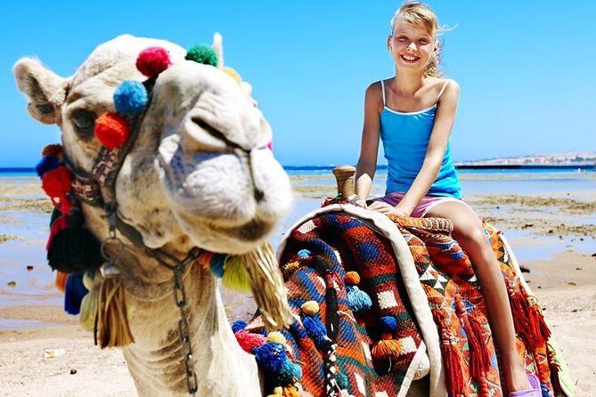 Camel Encounter and Safari Ride with Lunch and Alcohol Tasting - Lunch tacos and tequila tasting: the part that can feel “included” but variable
