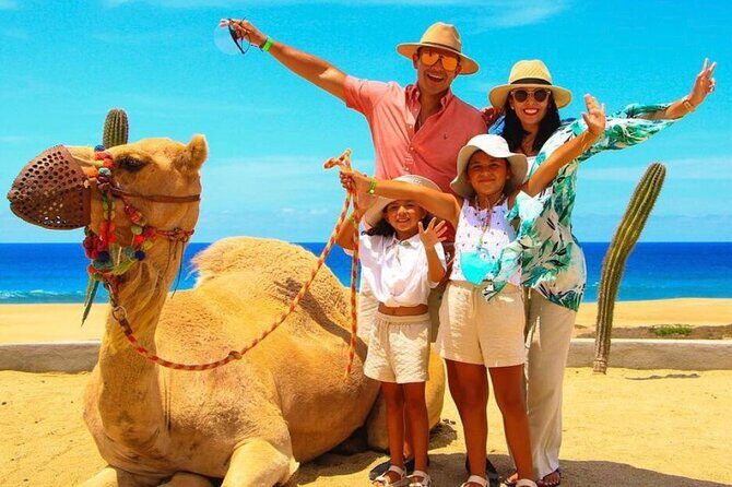 Camel Encounter and Safari Ride with Lunch and Alcohol Tasting - Price and the real-world add-ons: what can surprise you