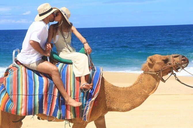 Camel Encounter and Safari Ride with Lunch and Alcohol Tasting - Is the ride short? Yes sometimes. Here’s how to handle that expectation.