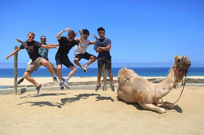 Camel Encounter and Safari Ride with Lunch and Alcohol Tasting - Who should book this Cabo camel encounter and safari ride?