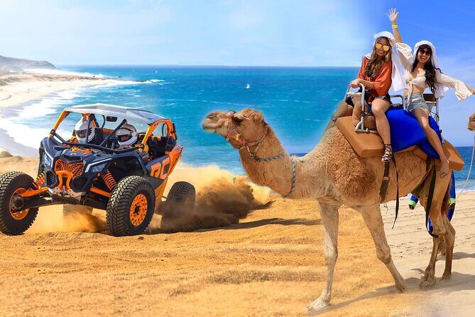 Camel Ride and UTV Combo Adventure, with Tequila Tasting - Rancho de Migriño: where the day actually starts