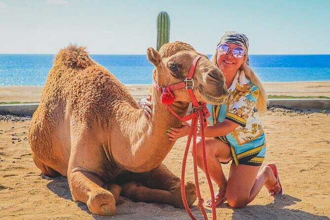 Camel Ride and UTV Combo Adventure, with Tequila Tasting - Getting there and how the day times out near the end