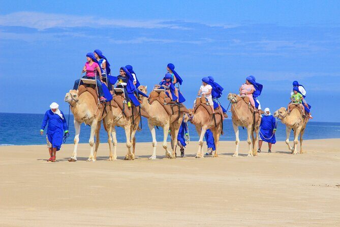 Camel Ride and UTV Combo Adventure, with Tequila Tasting - Who should book this camel + UTV combo, and who should skip