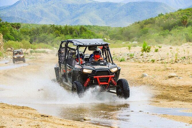 Camel Ride and UTV Combo Adventure, with Tequila Tasting - Final call: should you book this tour?