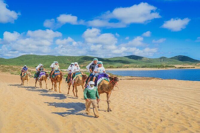 Camel Ride & ATV Combo in Migriño, Mexico - Key Points You’ll Actually Care About