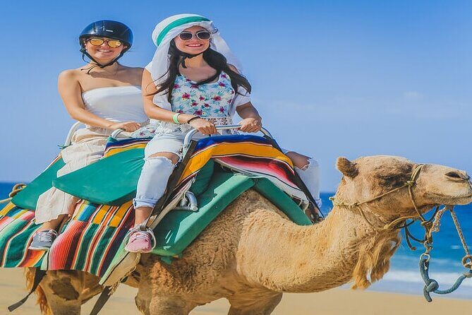 Camel Ride & ATV Combo in Migriño, Mexico - Migriño Beach: The Secluded Setting for Your Camel and ATV Day