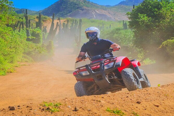 Camel Ride & ATV Combo in Migriño, Mexico - The Tequila Tasting and the Small Animal Stop