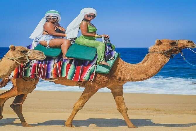 Camel Ride & ATV Combo in Migriño, Mexico - The Secluded Beach Wildlife Stop (and Why It’s More Than Scenic Photos)