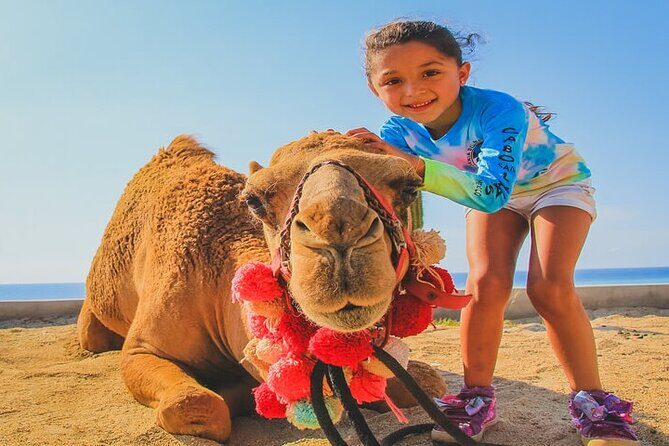 Camel Ride & ATV Combo in Migriño, Mexico - Price and Value: $125 Looks Good, Then Fees Come Into Play