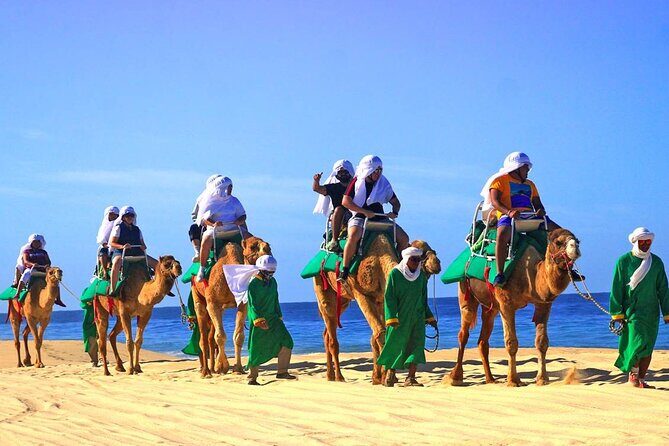 Camel Ride & Encounter at Los Cabos - The Camel Trek Along Los Cabos Beaches (What You’ll Do, Not Just What You’ll See)