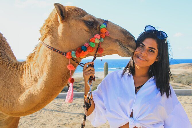 Camel Ride Experience in Los Cabos with Pick up and Lunch - Key Highlights I’d Plan Around