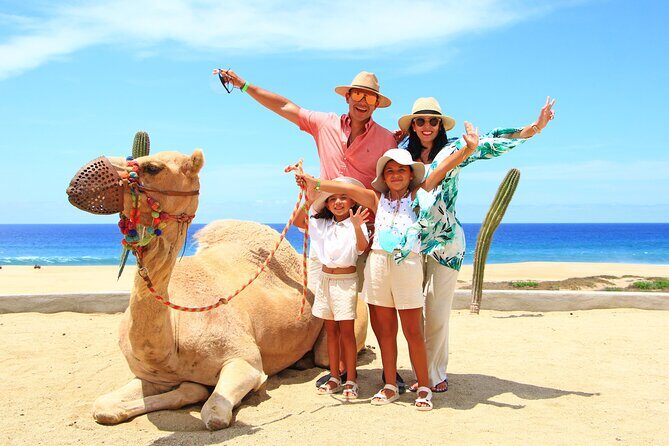 Camel Ride Experience in Los Cabos with Pick up and Lunch - Camel Ride in Los Cabos: What You’re Really Buying