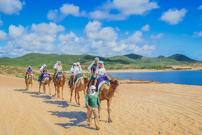 Camel Ride Experience in Los Cabos with Pick up and Lunch - Cabo Nature Talk: Flora and Fauna, Brief but Useful