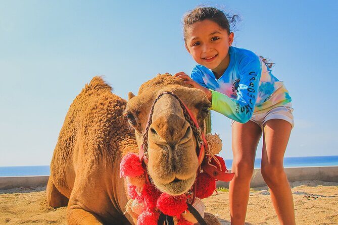 Camel Ride Experience in Los Cabos with Pick up and Lunch - The Real Cost: Tour Price Plus $25 Cash Entrance Fee