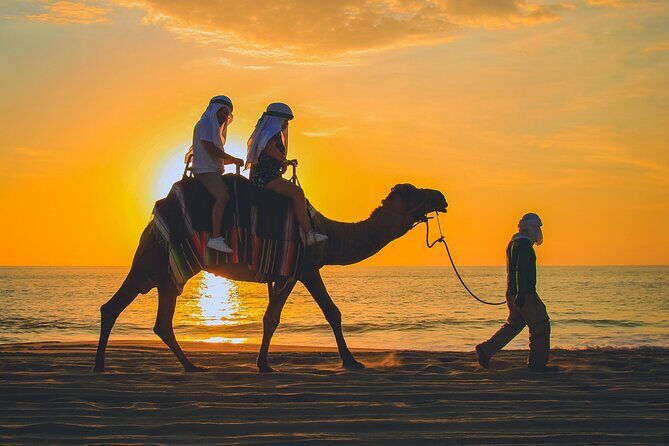 Camel Ride Experience in Los Cabos with Pick up and Lunch - Getting There With Round-Trip Pickup (and Why It Matters)