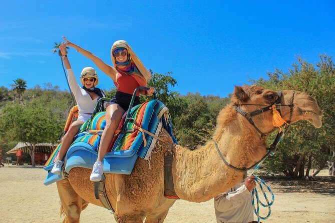 Camel Ride in the Canyon and Thrilling Water Slides and Snacks - Key things I’d bet on before you go