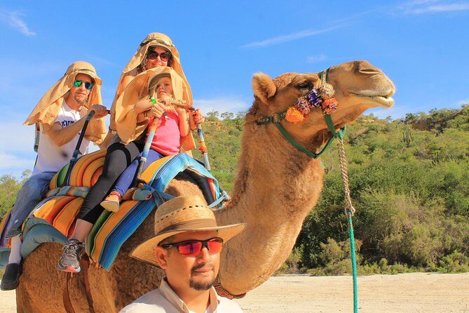 Camel Ride in the Canyon and Thrilling Water Slides and Snacks - Wild Canyon in Cabo: Why camels + water slides is such a good combo