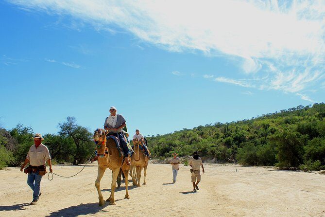 Camel Ride in the Canyon and Thrilling Water Slides and Snacks - Water park access at Wild Canyon: slides, pool time, and the bridge photo op