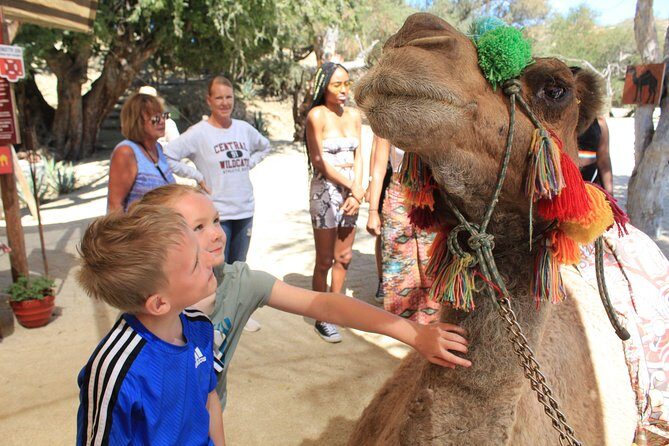 Camel Ride in the Canyon and Thrilling Water Slides and Snacks - What to pack for comfort: towel, water bottle, and dust-proof planning
