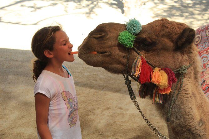 Camel Ride in the Canyon and Thrilling Water Slides and Snacks - Getting there: pickup is offered, but transport costs can pop up