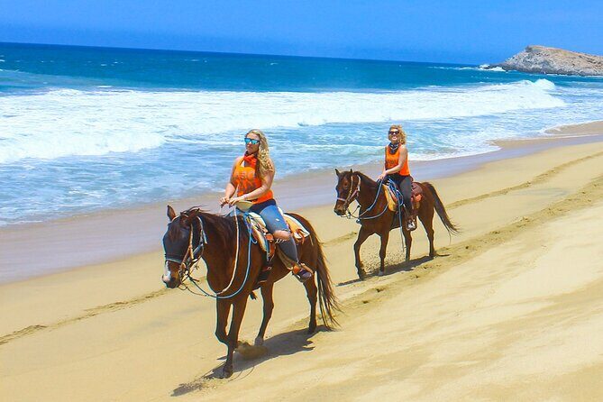 Camel Ride Tour in Los Cabos - Key things to look for before you go