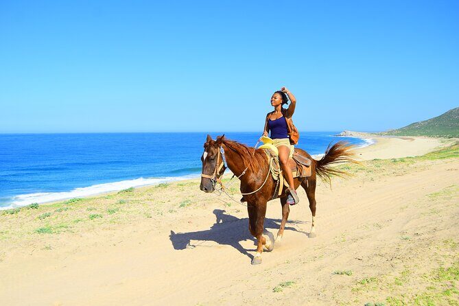 Camel Ride Tour in Los Cabos - Price and Value: The $76 Question (and the $25 add-on)