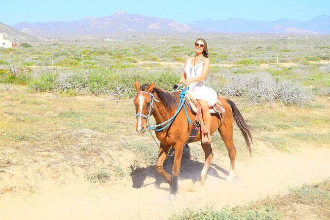 Camel Ride Tour in Los Cabos - Meeting Up at G-Force Adventures: How Pickup Actually Helps