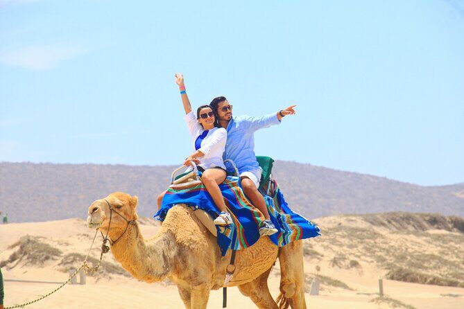Camel riding experience on the shores of the Pacific Ocean - Key things to know before you go