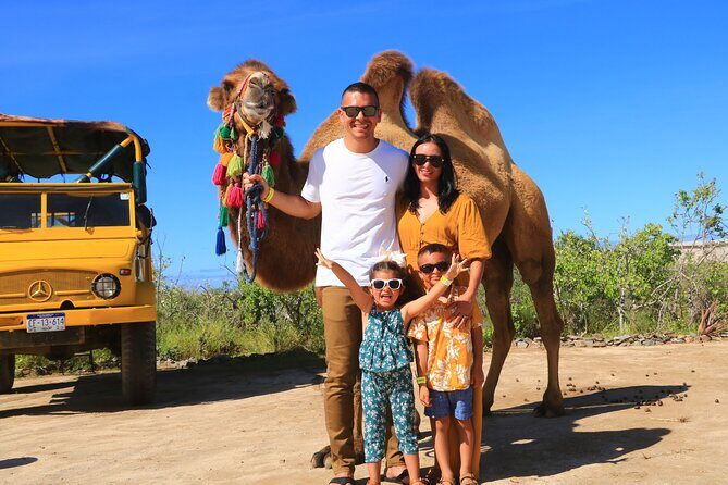 Camel riding experience on the shores of the Pacific Ocean - Pacific Camel Riding in Cabo: what you’re really signing up for