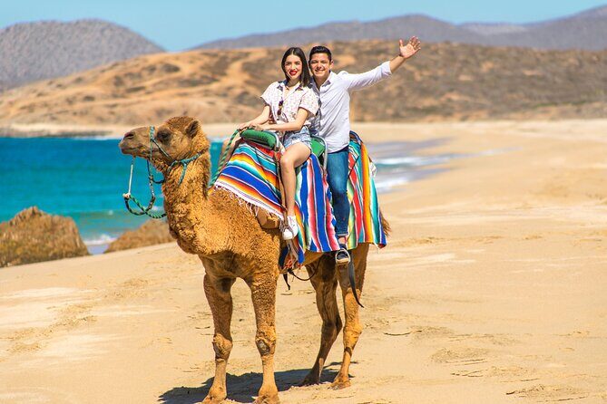 Camel riding experience on the shores of the Pacific Ocean - Check-in at the ranch: lockers, staff flow, and your first camel encounter