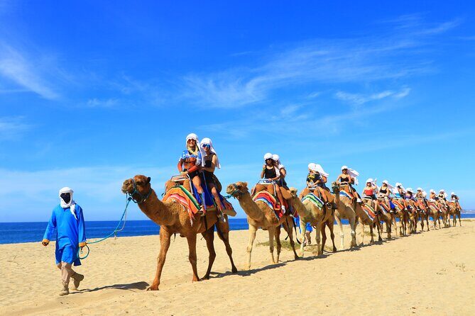 Camel riding experience on the shores of the Pacific Ocean - After the ride: bathroom time and included quesadillas