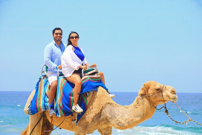 Camel riding experience on the shores of the Pacific Ocean - Budget reality: base price vs. ranch admission, tips, and photo add-ons