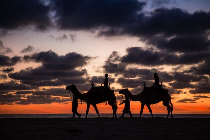 Camel riding experience on the shores of the Pacific Ocean - Group size and the “feel” of the experience