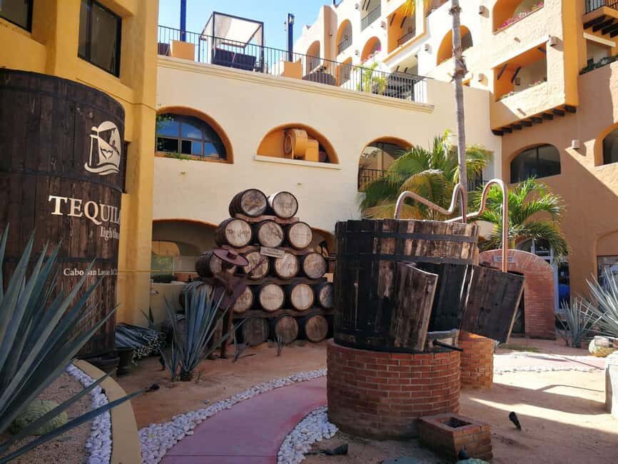 City Tour to Cabo San Lucas and Transparent boat to the Arch - Glass-Blowing Factory Stop: Watching Art Get Made in Real Time