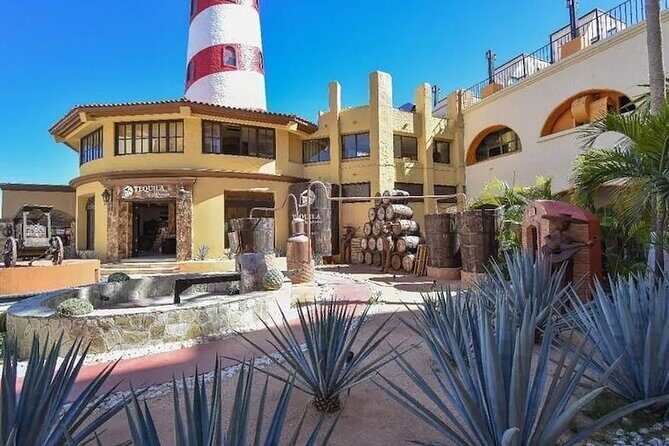CityTour to San Jose, Cabo San Lucas and Arch Tour in Clearboat - Key Highlights (Worth Writing Home About)