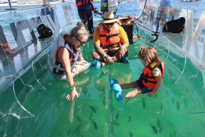 Clear Boat Ride in Los Cabos - A Transparent Boat Ride You Can Really See Through