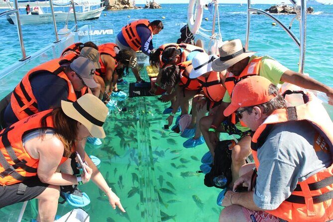 Clear Boat Ride in Los Cabos - El Arco de Cabo San Lucas: The Arch Stop That’s All About Angles