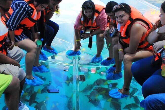 Clear Boat Ride in Los Cabos - Who This Tour Suits Best (And Who Might Want Another Option)