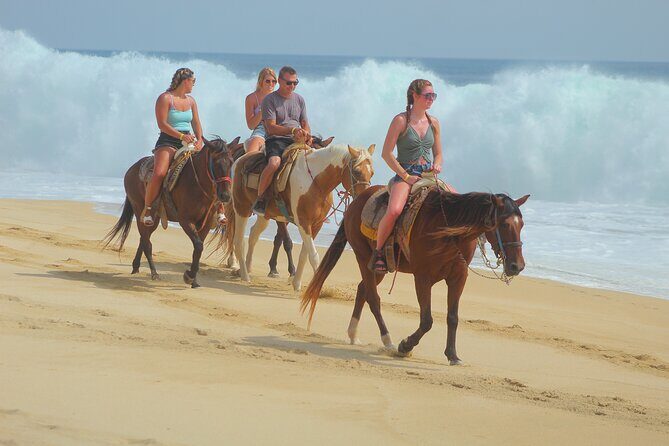 Combined ATV and Horseback Ride/Tequila Tasting - Tequila Tasting: The Cool-Down Moment