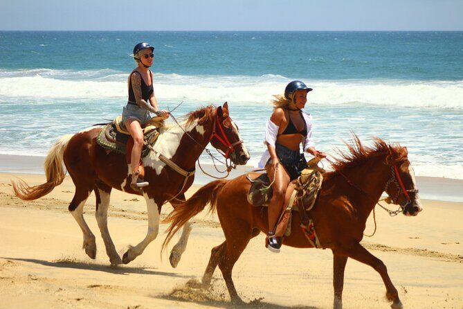 Combo Adventure with RZR and ATV or HBR and Tequila Tasting - On the Trail: Dusty Desert, Dry River Beds, and a Beach Break
