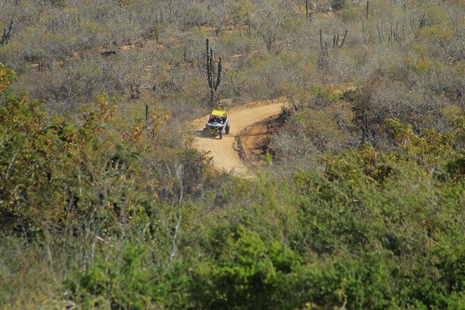 Combo Adventure with RZR and ATV or HBR and Tequila Tasting - Playa Migrino: Why That Stop Matters