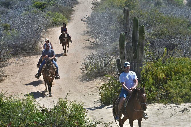 Combo Double Utv + Horses - Horseback on the beach: why it’s more than a photo stop