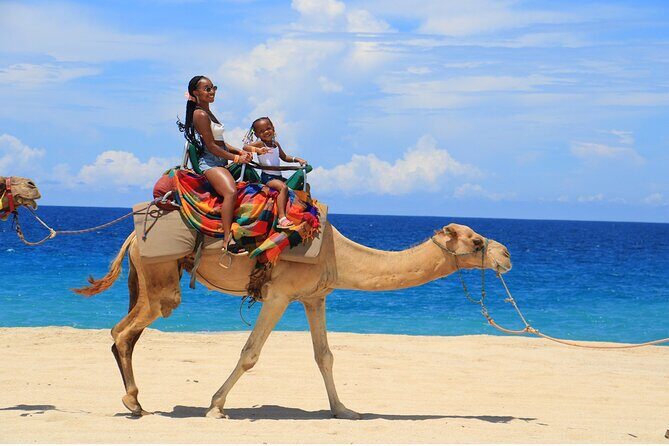 Combo Horseback Ride and Sky Bike in Cabo - Timing, Transportation, and How the Day Flows