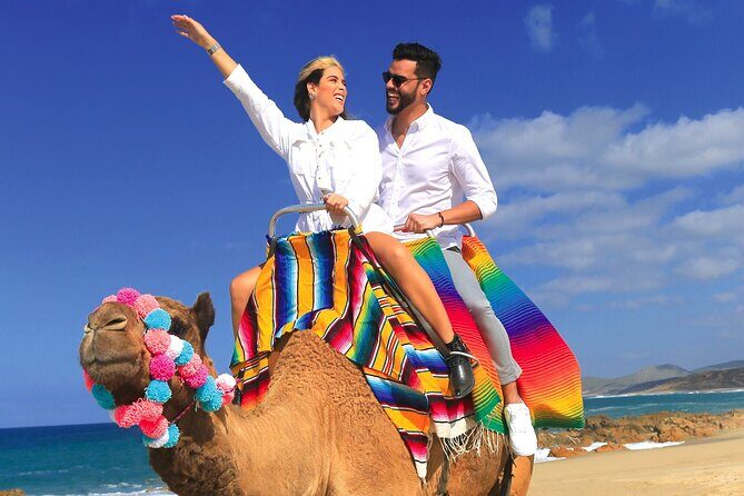 Combo Horseback Ride and Sky Bike in Cabo - Who This Combo Tour Fits Best in Cabo