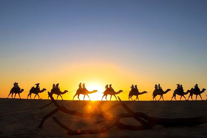 Combo Horseback Ride and Sky Bike in Cabo - Polaris Sportsman ACE Off-Road Time Through Dry Creeks and Sand