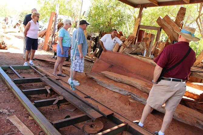 Cultural & Ecology, Nature & History of the hidden towns of Southern Baja! - Ecology and Nature Notes: Flora, Fauna, and a Freshwater Oasis Pause