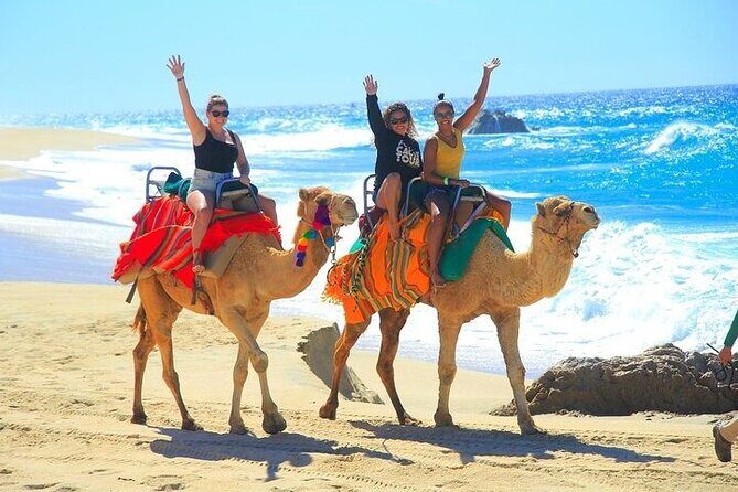 Day Pass Adventure in Los Cabos with Roundtrip Transport - Price and value: what $200 buys, and what to budget for