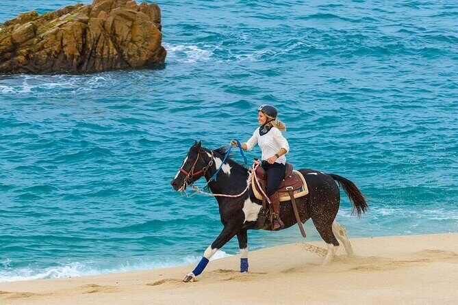 Day Pass Adventure in Los Cabos with Roundtrip Transport - Timing, group size, and weather: how to plan your day